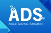 Agile Digital Strategy